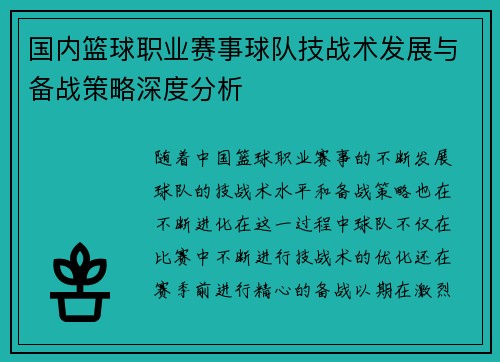 国内篮球职业赛事球队技战术发展与备战策略深度分析 国内篮球职业赛事球队技战术发展与备战策略深度分析